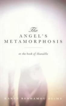 The Angels Metamorphosis by Karen Ruimy Paperback