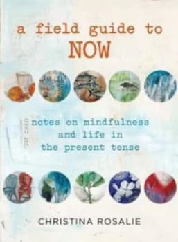 A Field Guide to Now by Christina Rosalie Hardback