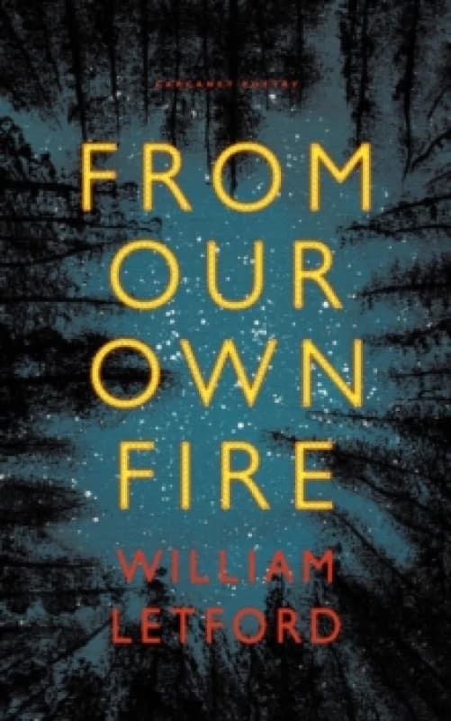 From Our Own Fire Paperback / softback