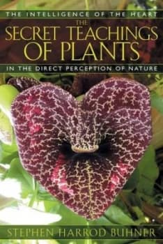 The secret teachings of plants by Stephen Harrod Buhner