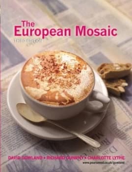 The European Mosaic by David Gowland Paperback