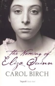 The Naming of Eliza Quinn by Carol Birch Paperback