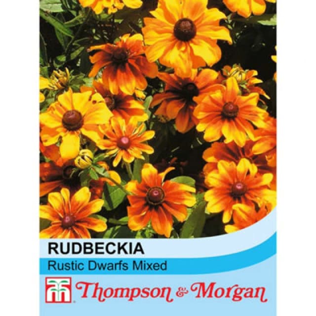 Thompson & Morgan Rudbeckia Hirta Rustic Dwarfs Mixed 1 Seed Packet (350 Seeds)