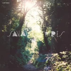 Savaging Spires ‎- Savaging Spires CD