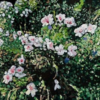 Jess Locke - Don't Ask Yourself Why CD