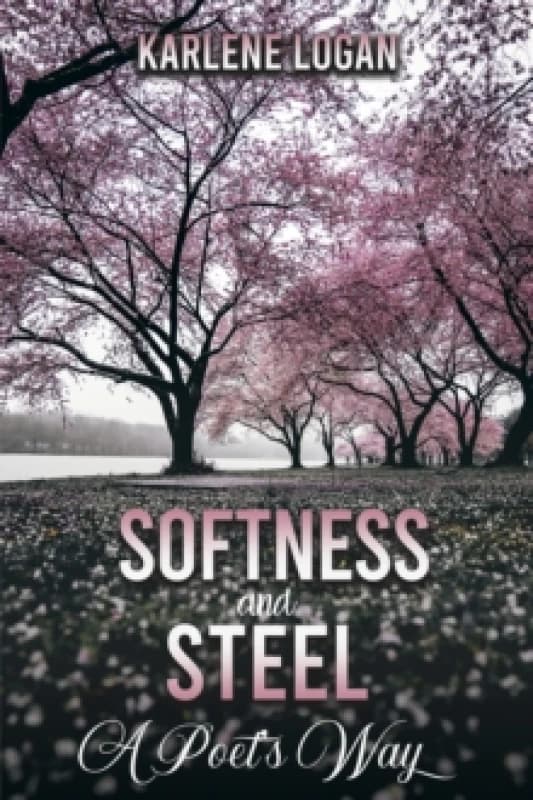 Softness and Steel A Poets Way Paperback / softback