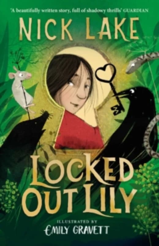 Locked Out Lily Paperback / softback