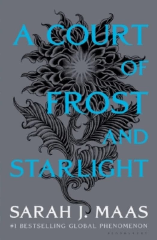 A Court of Frost and Starlight Hardback