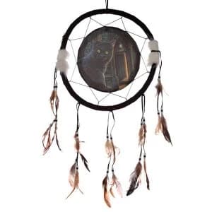 What Lies Within 33cm Dreamcatcher