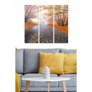 MDF86516362 Multicolor Decorative MDF Painting (3 Pieces)