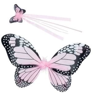 Butterfly Fairy Wings And Wand