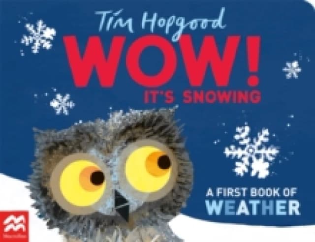 WOW! It's Snowing : A First Book of Weather Board book