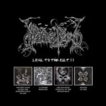 Loyal to the Cult II