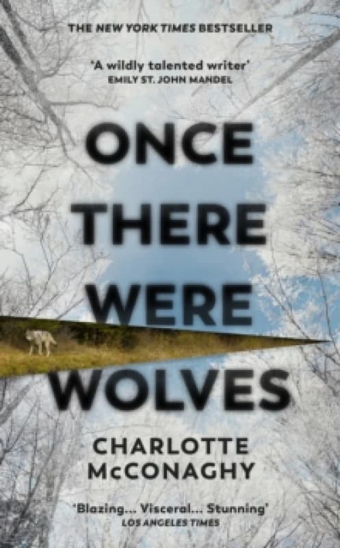 Once There Were Wolves Hardback
