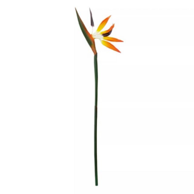 Premier Housewares Fiori Artificial flowers 90cm White Delphinium Spike Orange