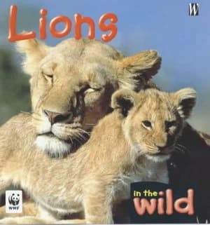 Lions by Patricia Kendell Hardback