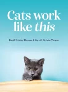 Cats Work Like This