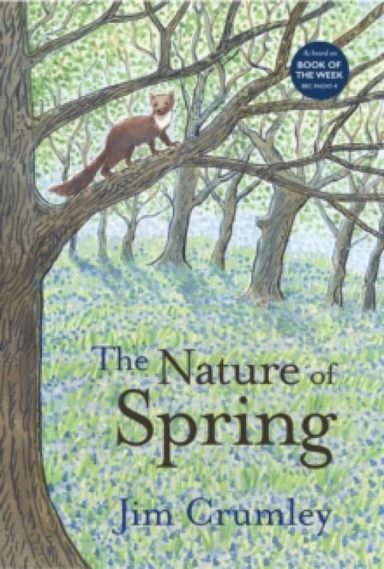 The Nature of Spring Paperback / softback