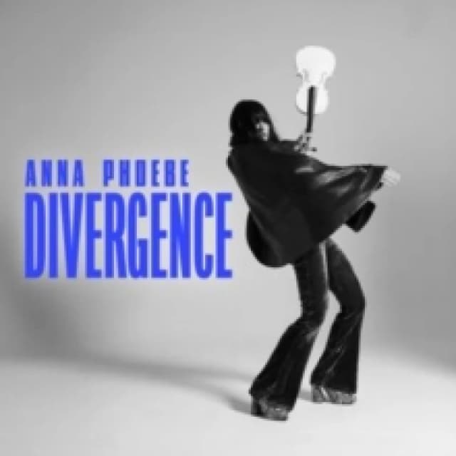 Divergence Vinyl