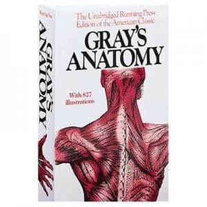 Grays Anatomy by Henry Gray Paperback