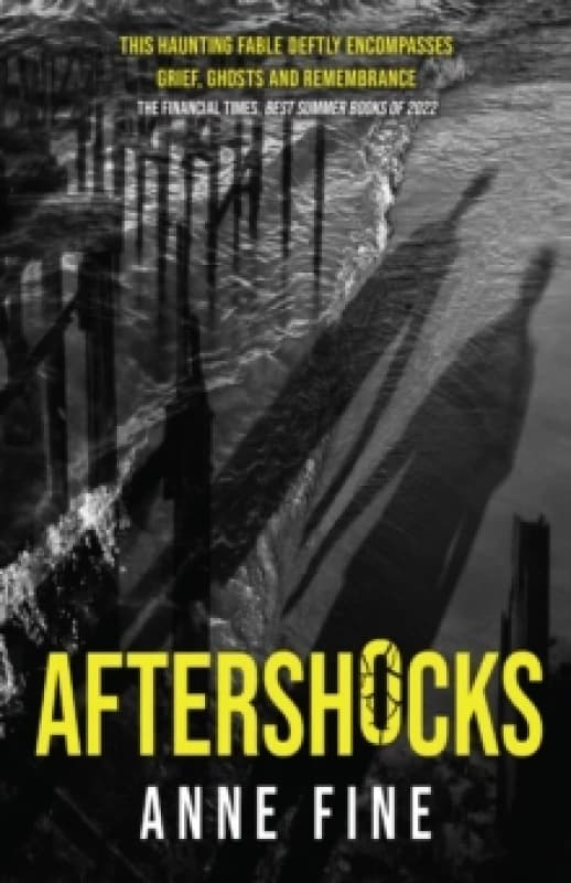 Aftershocks - Anne Fine - Paperback - Used
