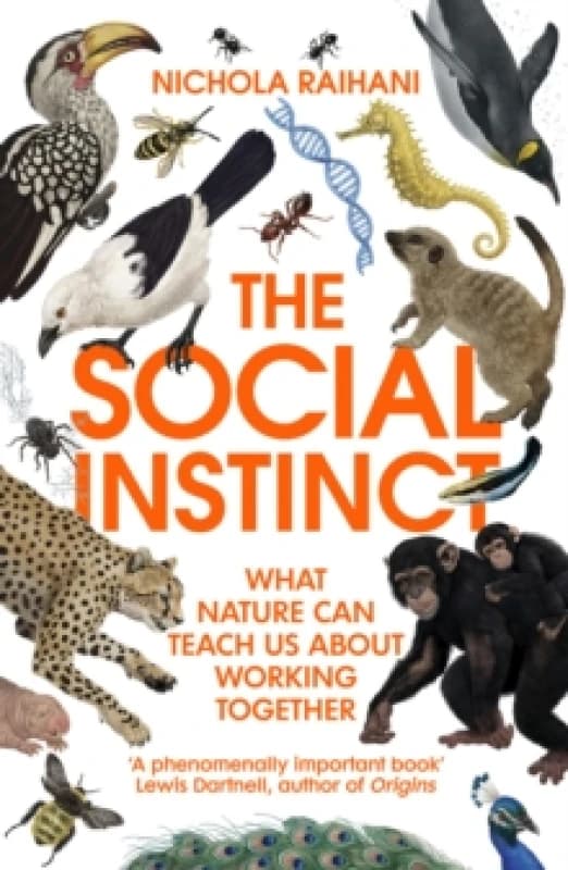 The Social Instinct : What Nature Can Teach Us About Working Together Paperback / softback