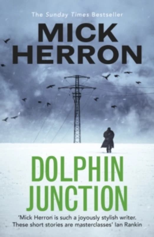 Dolphin Junction Paperback / softback