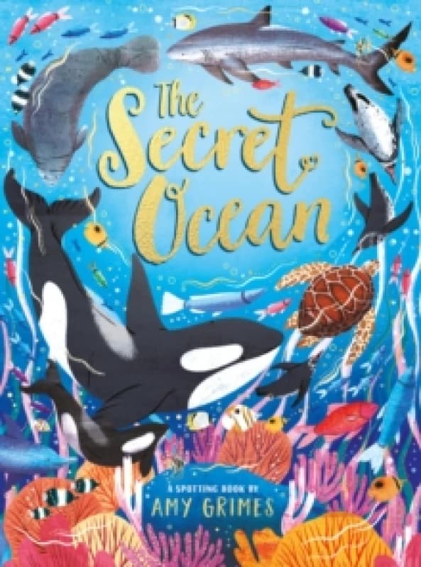 The Secret Ocean Hardback