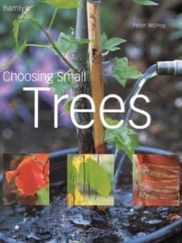 Choosing Small Trees by Peter Mchoy Hardback