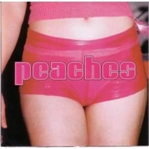 Peaches - The Teaches Of Peaches Vinyl