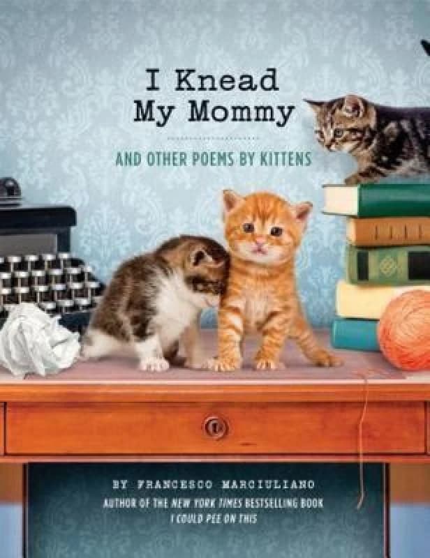I Knead My Mommy by Francesco Marciuliano Book