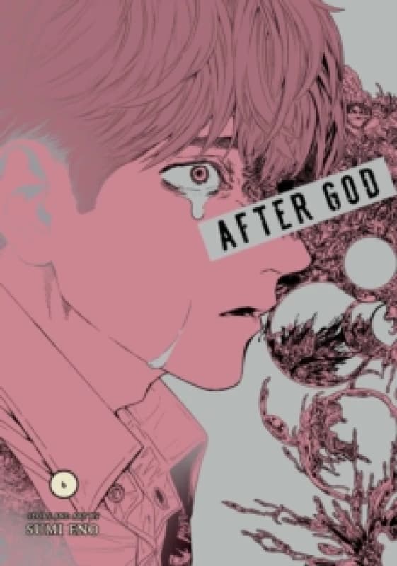 After God, Vol. 6 Paperback / softback
