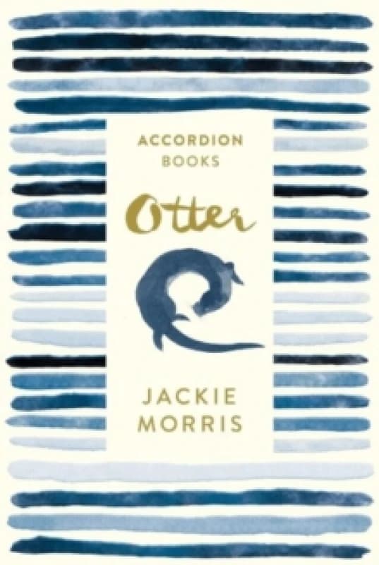 Otter: Accordion Book No 2 Paperback / softback