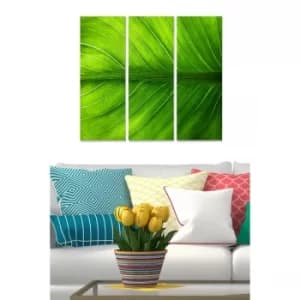 MDF2210973 Multicolor Decorative MDF Painting (3 Pieces)