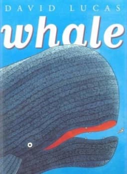 Whale by David Lucas Paperback