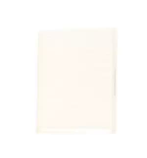 RIDEX Pollen filter 424I0058 Filter, interior air,Cabin filter FORD,FIAT,CHRYSLER,KA (RU8),PANDA (169),500 (312),500 C (312),Ypsilon Schragheck