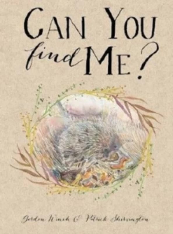 Can You Find Me? Paperback / softback