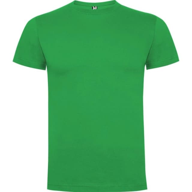 ROLY ROLY Men Dogo Premium T-Shirt in Emerald Size: Small Emerald S Male 5063574583183