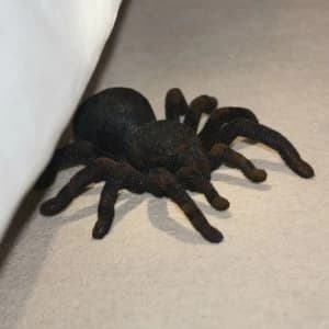 The Source Remote Control Tarantula
