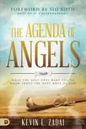agenda of angels what the holy ones want you to know about the next move