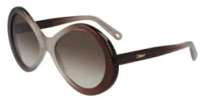 Chloe Sunglasses CE 2743S 679