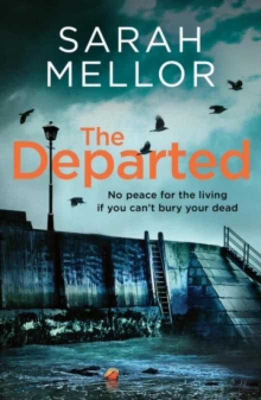 The Departed. Paperback. By Sarah Mellor Books