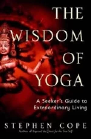 wisdom of yoga a seekers guide to extraordinary living