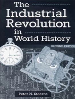 The Industrial Revolution in World History by Peter N Stearns Paperback