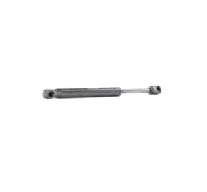 RIDEX Tailgate strut 219G0156 Gas spring, boot- / cargo area,Boot struts MAZDA,6 (GG),6 Hatchback (GG)
