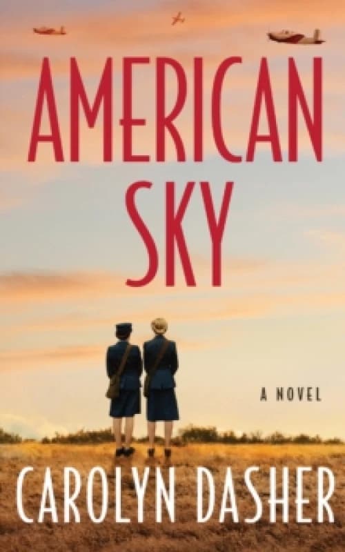 American Sky : A Novel Paperback / softback