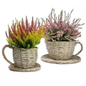Willow Teacup and Saucer Wicker Planters for Indoor and Outdoor Planting - Set of 2 M&W