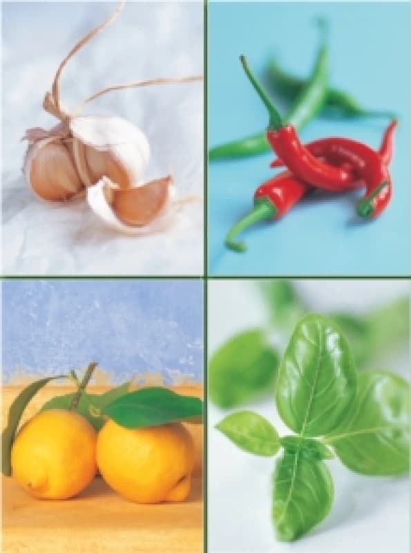 Set of Four Magnetic Notepads: Herbs : A Collection of Handy Notepads with Easy Magnetic Fastening, Contained Within a Decorative Box Paperback / soft