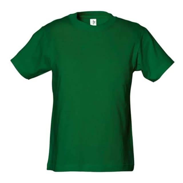 Tee Jays Power boys's in Green