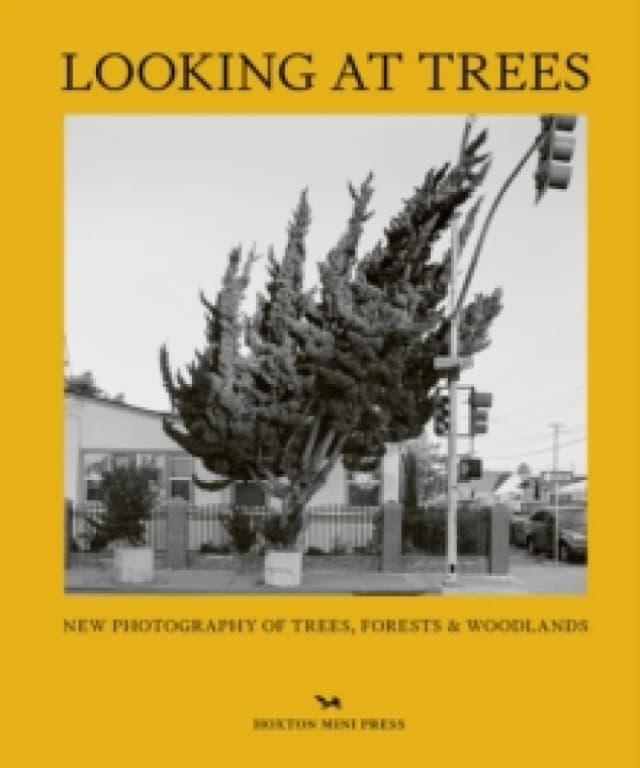 Looking At Trees : New Photography of Trees, Forests & Woodlands Hardback